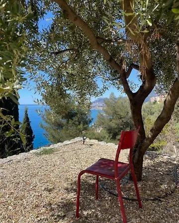 Modern Seaview With Pool Above Monaco