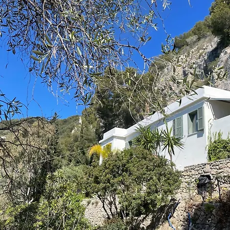 וילה Modern Seaview With Pool Above Monaco *