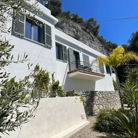 Modern Seaview With Pool Above Monaco Вилла Гримальди
