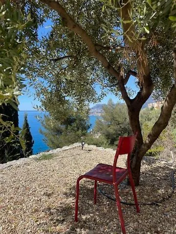 Modern Seaview With Pool Above Monaco